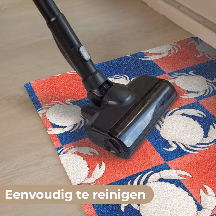 Patroon - Zeeleven - Rood - Blauw - Abstract Deurmat klein -reinigen_NL