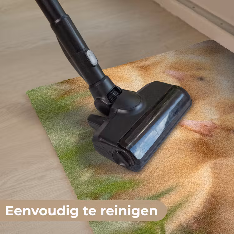 Pijltje - Eend - Natuur - Geel Deurmat klein -reinigen_NL