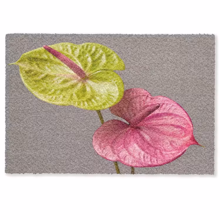 Planten - Anthurium - Groen - Roze Deurmat klein -zkaufland3d