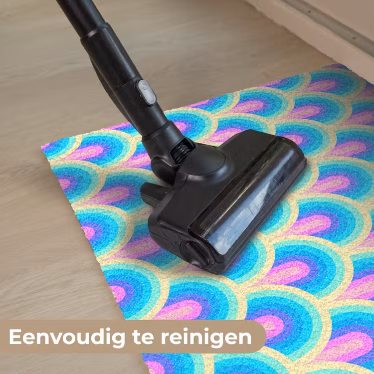 Regenbogen - Waaier - Vrolijk Deurmat klein 898 -reinigen_NL