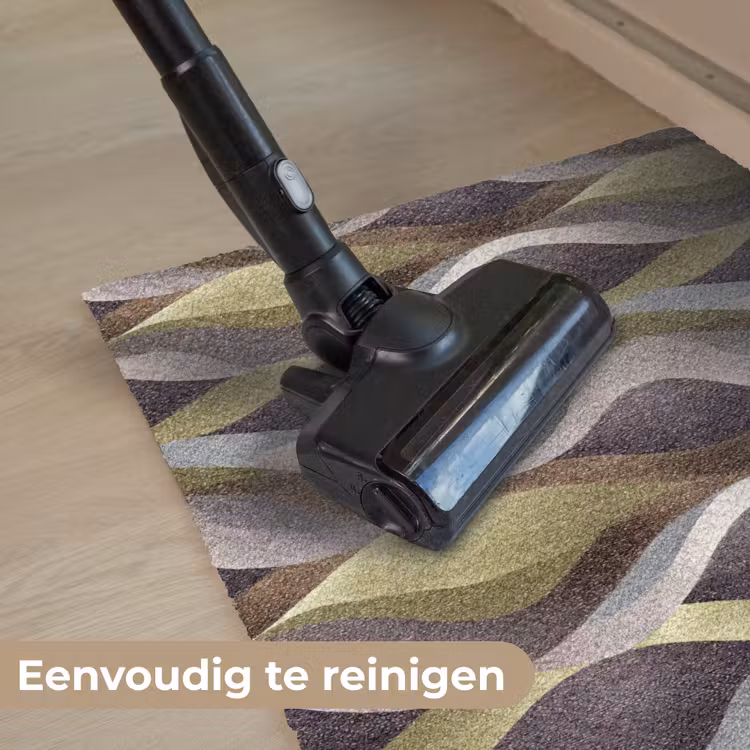 Retro - Banen - Kleurrijk Deurmat klein 898 -reinigen_NL