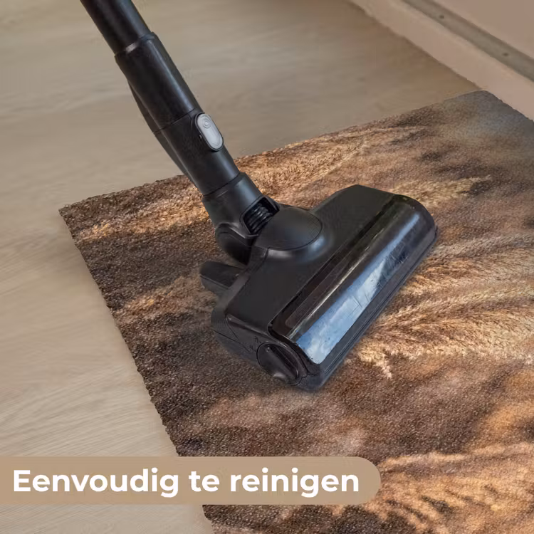 Rietpluimen - Gras - Zonsondergang - Goud - Serene Deurmat klein -reinigen_NL