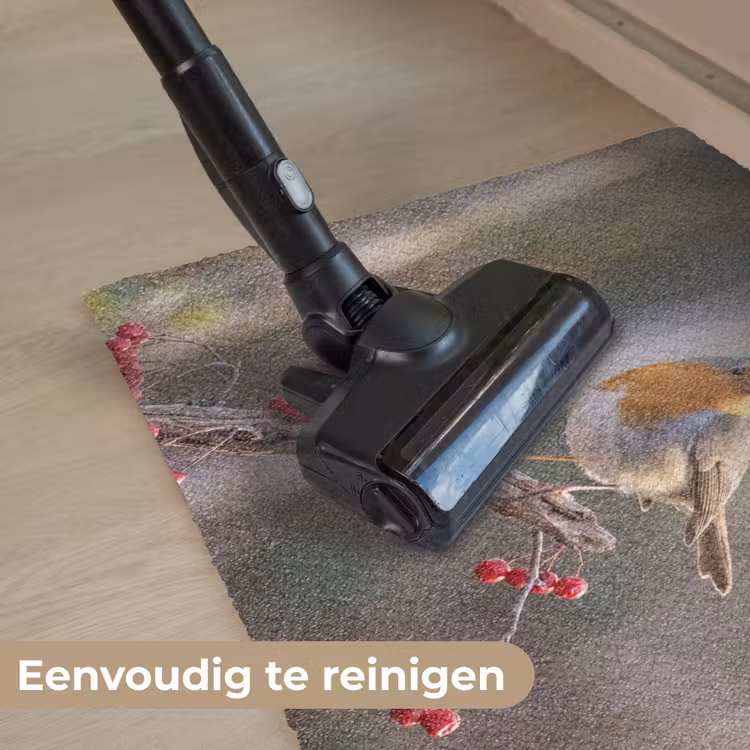 Roodborst - Tak - Bessen - Natuur Deurmat klein -reinigen_NL