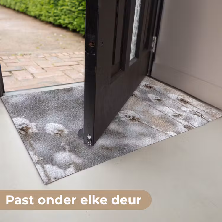 Roodborstje - Gedroogde bloem - Sneeuw - Winter - Vertederend Deurmat klein -USP_NL