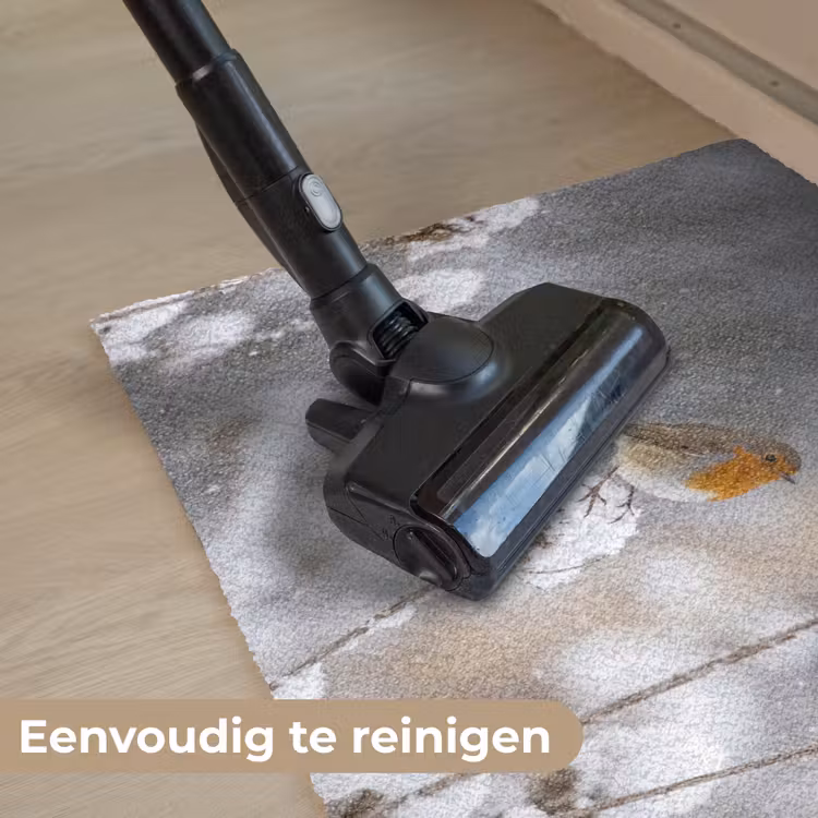 Roodborstje - Gedroogde bloem - Sneeuw - Winter - Vertederend Deurmat klein -reinigen_NL