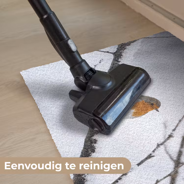 Roodborstje - Tak - Sneeuw - Winter - Levendig Deurmat klein -reinigen_NL