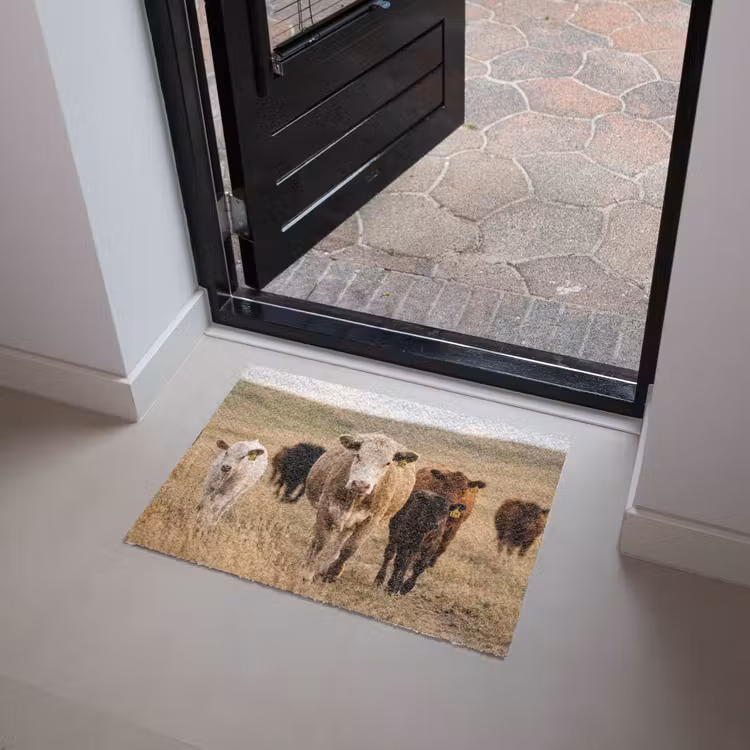 Runderen - Kudde - Landschap - Weide - Rustig Deurmat klein -sfeer5