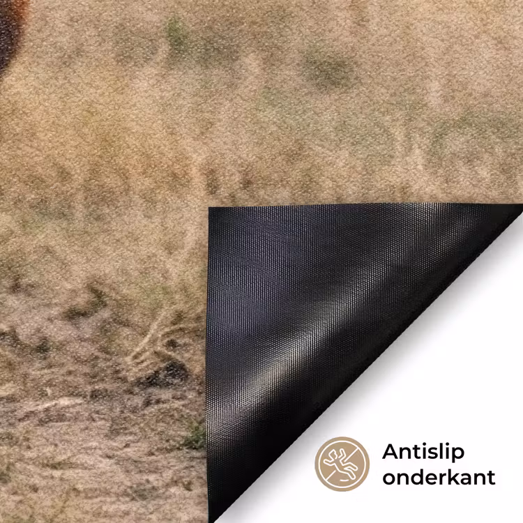 Runderen - Kudde - Landschap - Weide - Rustig Deurmat klein -antislip_NL