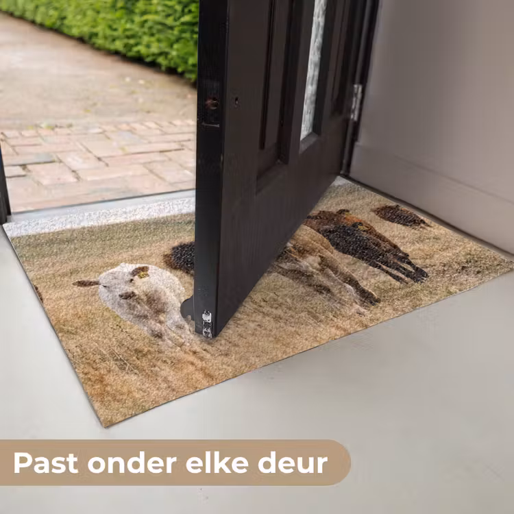 Runderen - Kudde - Landschap - Weide - Rustig Deurmat klein -USP_NL