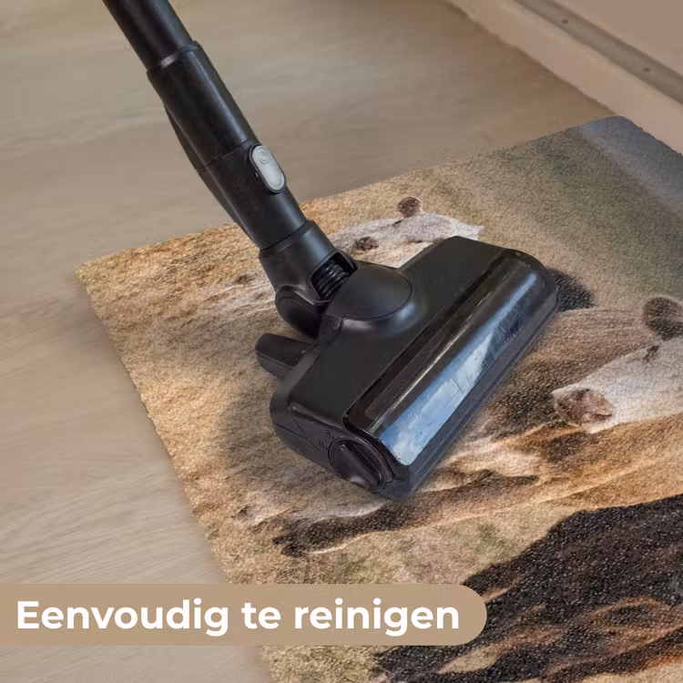 Runderen - Kudde - Landschap - Weide - Rustig Deurmat klein -reinigen_NL