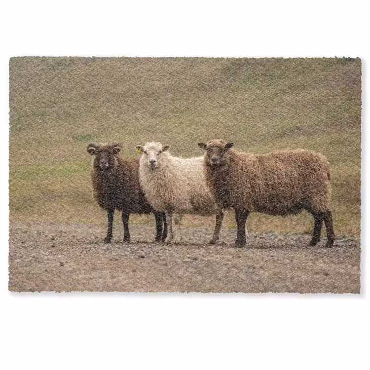 Schapen - Bruin - Wit - Grindpad Deurmat klein -zkaufland3d