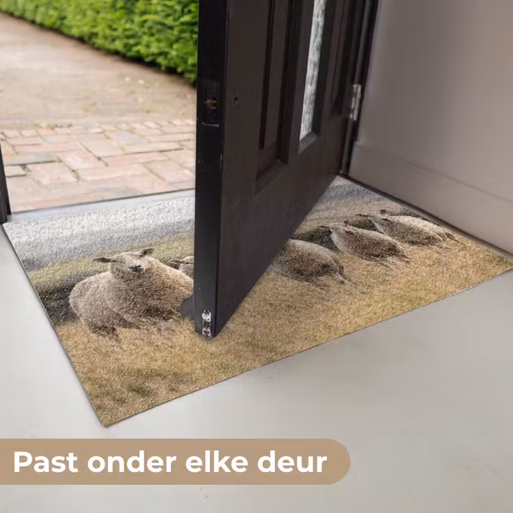 Schapen - Weidenlandschap - Heuvels Deurmat klein -USP_NL