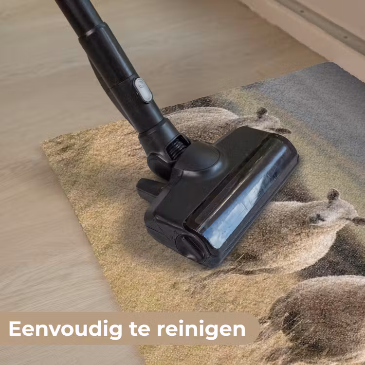 Schapen - Weidenlandschap - Heuvels Deurmat klein -reinigen_NL