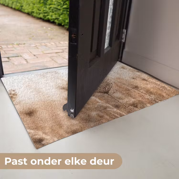 Schermbloem - Droogbloem - Winter - Beige - Minimalistisch Deurmat klein -USP_NL