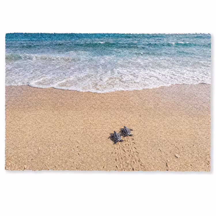 Schildpad - Jong - Strand - Oceaan - Blauw Deurmat klein -zkaufland3d