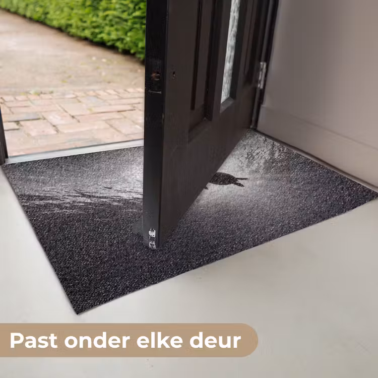 Schildpad - Onderwater - Lichtstralen - Oceaan - Zwart-wit Deurmat klein -USP_NL