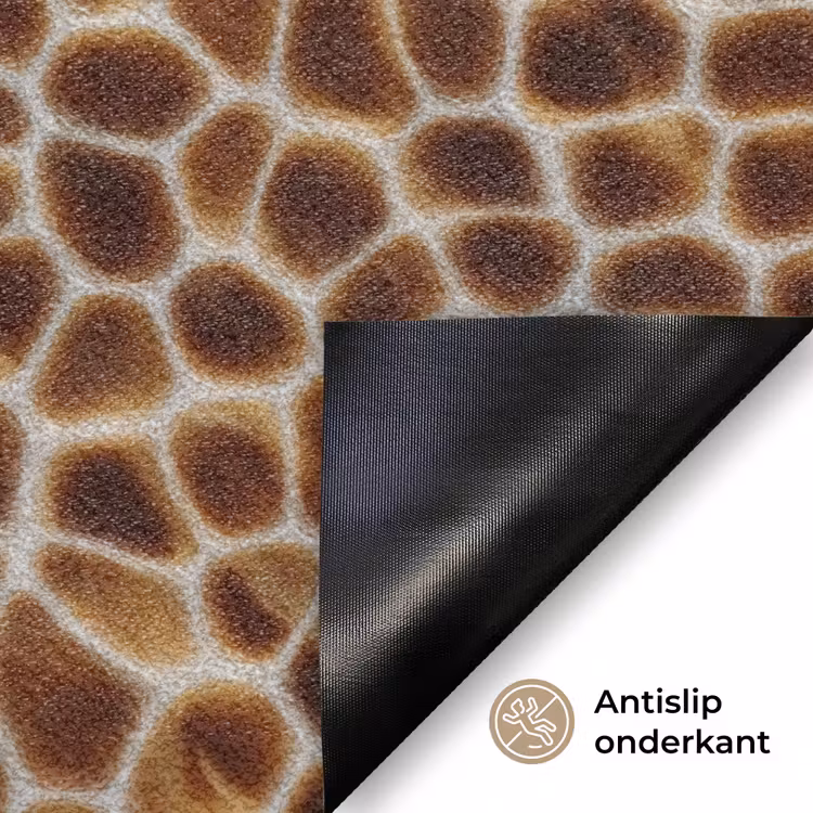 Schildpad - Patroon - Bruin Deurmat klein 898 -antislip_NL