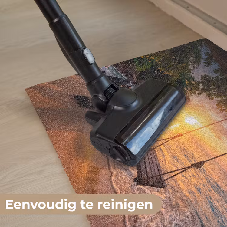 Schommel - Strand - Zonsondergang - Natuur - Oranje Deurmat klein -reinigen_NL
