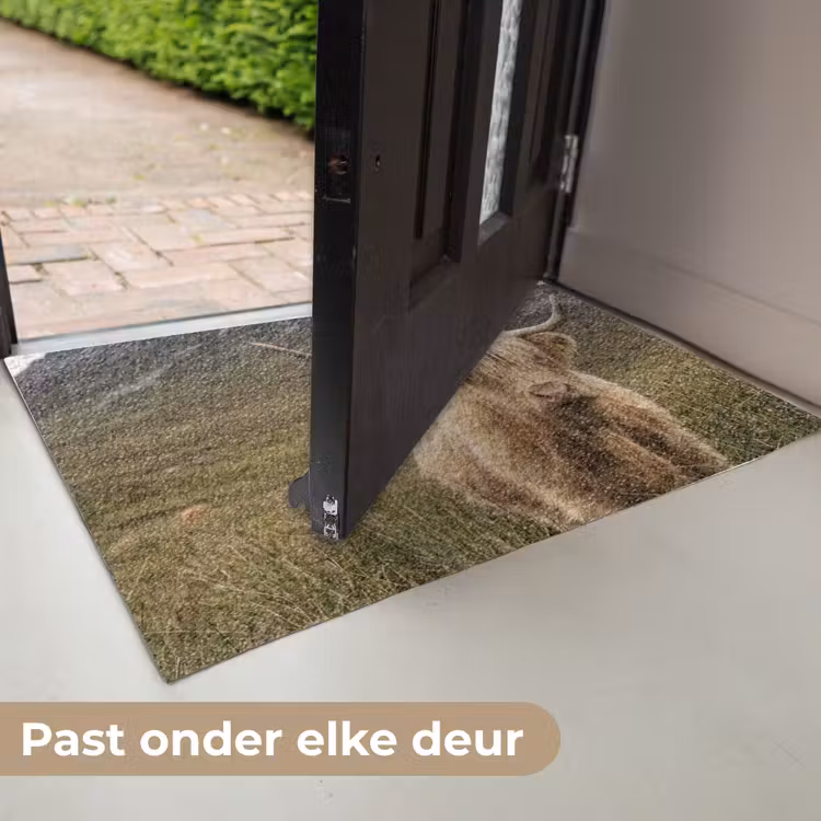 Schotse hooglander - Bergen - Grasveld Deurmat klein -USP_NL