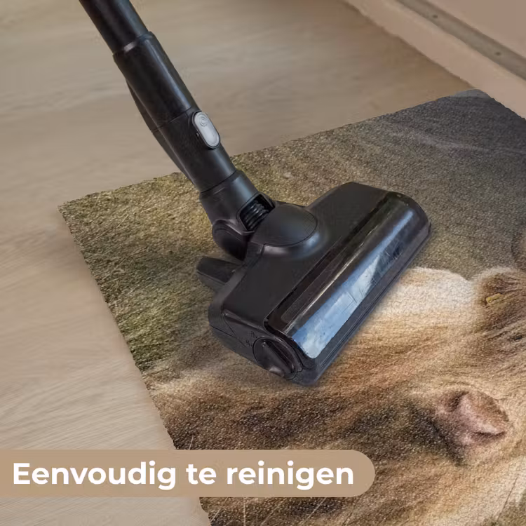 Schotse hooglander - Bergen - Grasveld Deurmat klein -reinigen_NL