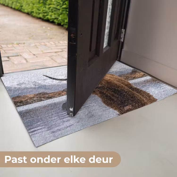 Schotse hooglander - Bruin - Water Deurmat klein -USP_NL