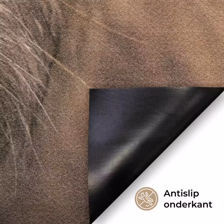 Schotse hooglander - Neus - Bruin Deurmat klein -antislip_NL