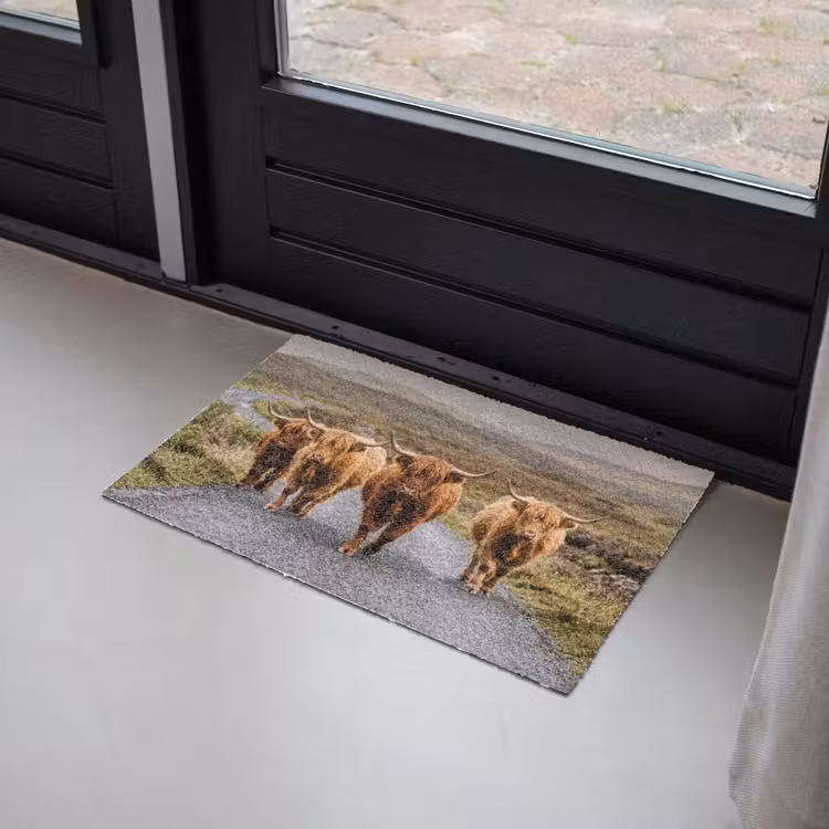 Schotse Hooglanders - Weg - Landschap - Kudde Deurmat klein -sfeer2
