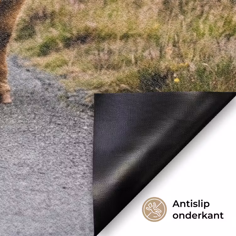 Schotse Hooglanders - Weg - Landschap - Kudde Deurmat klein -antislip_NL