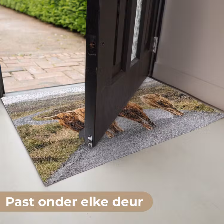 Schotse Hooglanders - Weg - Landschap - Kudde Deurmat klein -USP_NL