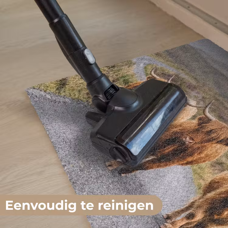 Schotse Hooglanders - Weg - Landschap - Kudde Deurmat klein -reinigen_NL