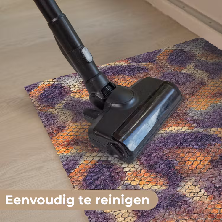 Slang - Schubben - Kleurrijk Deurmat klein 898 -reinigen_NL