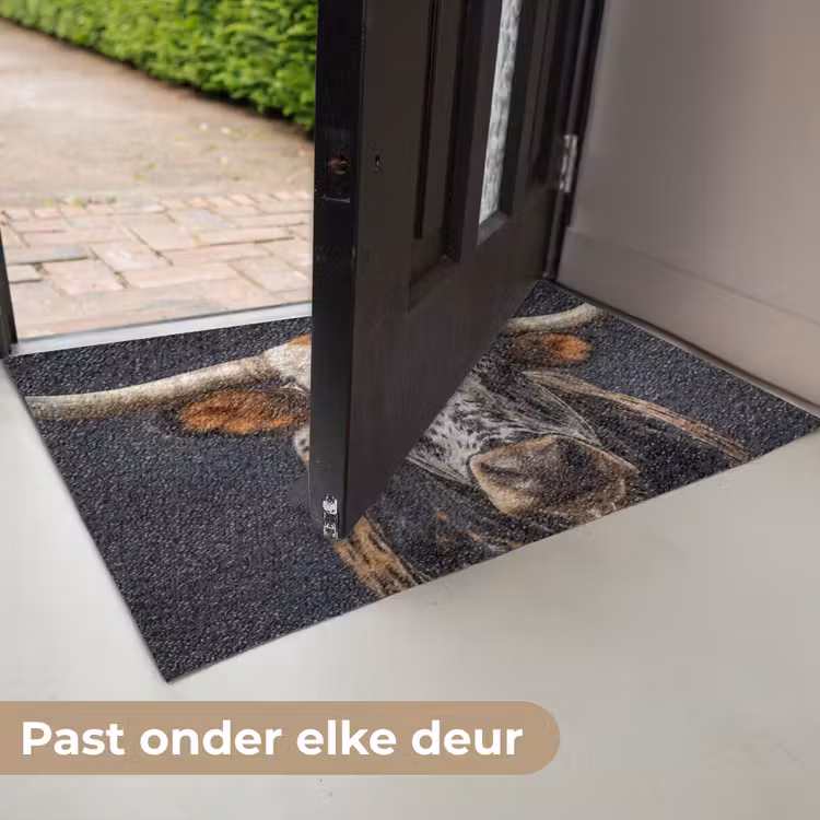 Stier - Kleurrijk - Hoorns Deurmat klein -USP_NL