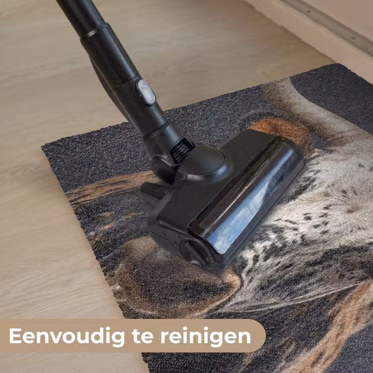 Stier - Kleurrijk - Hoorns Deurmat klein -reinigen_NL