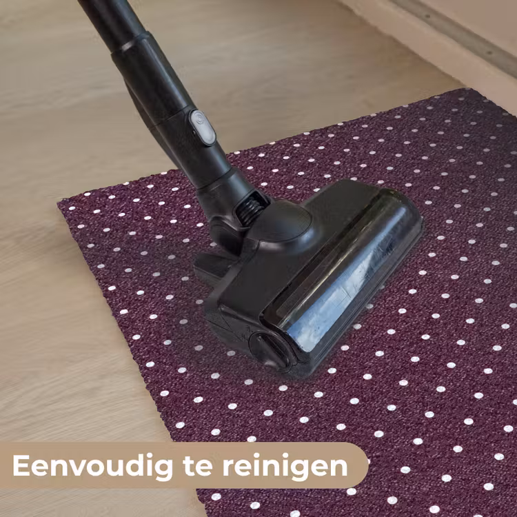 Stippen - Modern - Paars Deurmat klein 898 -reinigen_NL