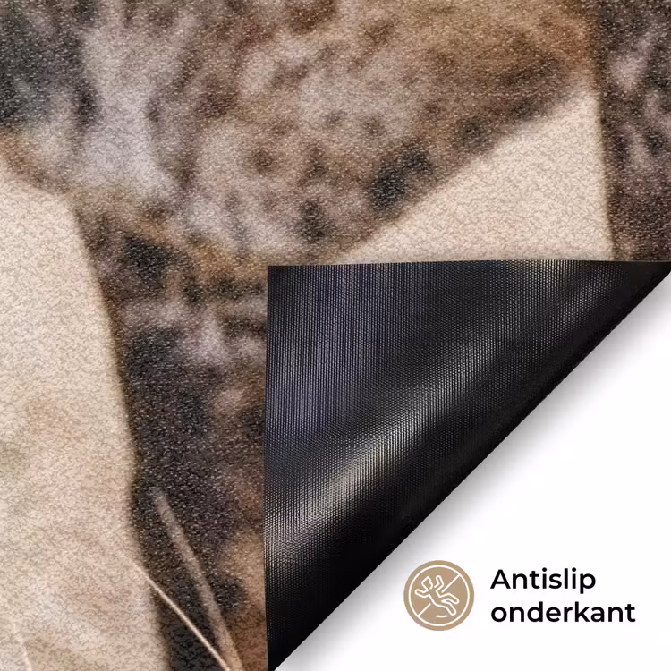 Texas Longhorn - Kalf - Weide - Dieren Deurmat klein -antislip_NL