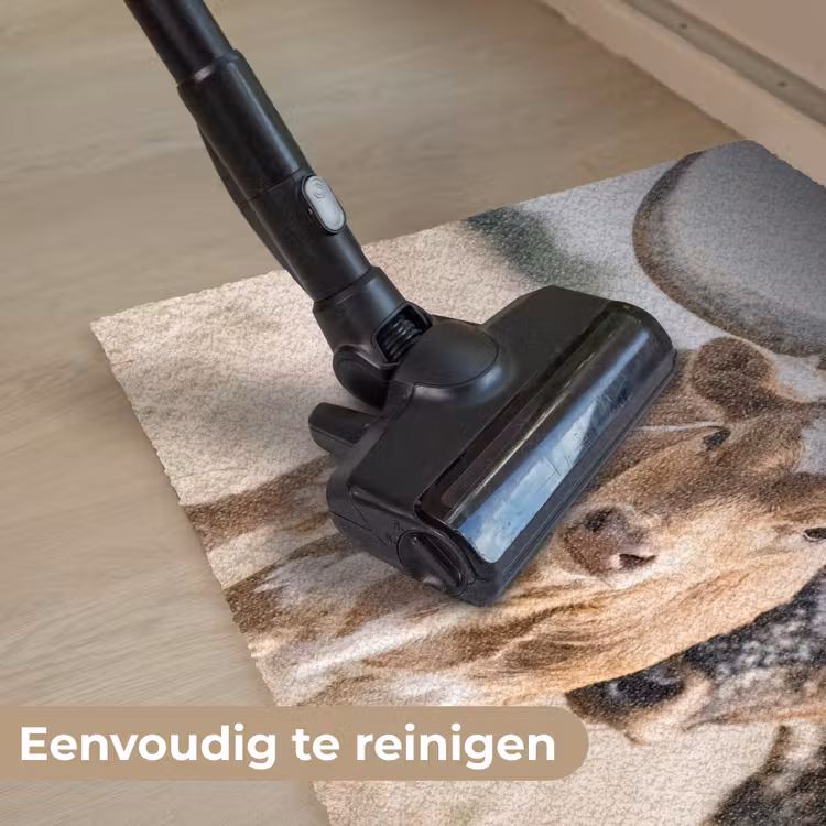 Texas Longhorn - Kalf - Weide - Dieren Deurmat klein -reinigen_NL