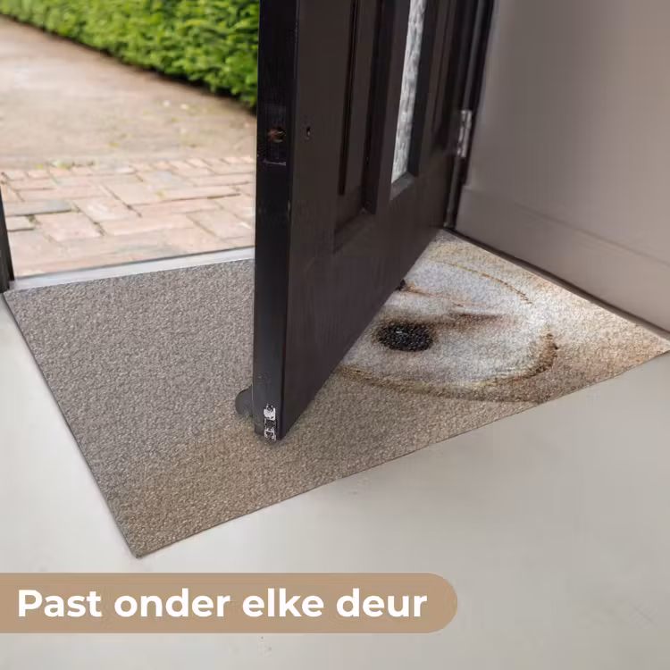 Uil - Bruin - Wit Deurmat klein -USP_NL