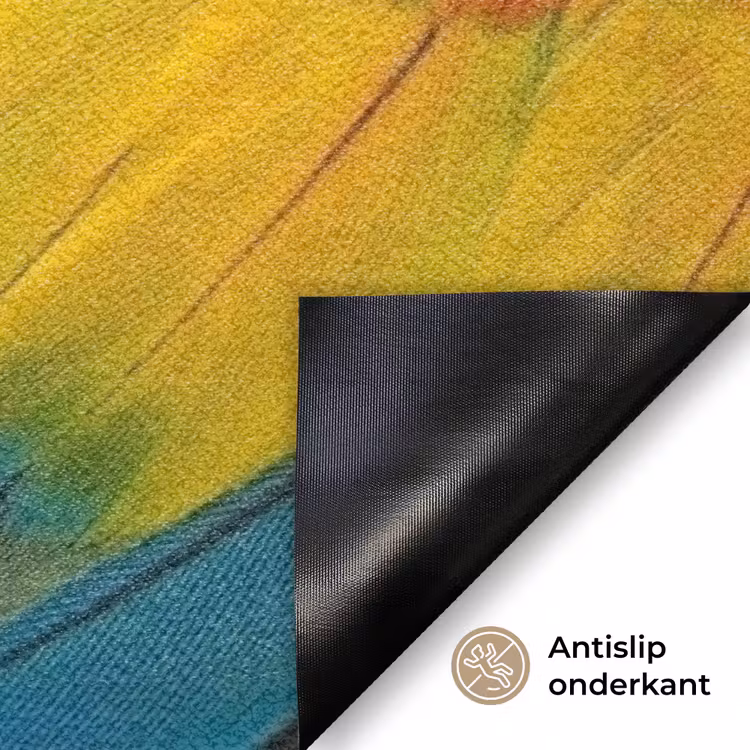 Veren - Ara - Kleurrijk Deurmat klein -antislip_NL