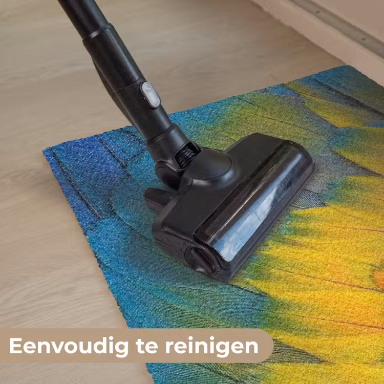 Veren - Ara - Kleurrijk Deurmat klein -reinigen_NL