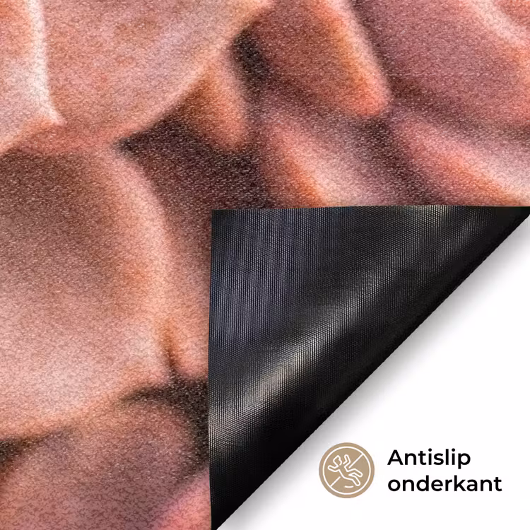 Vetplant - Organisch - Roze Deurmat klein -antislip_NL