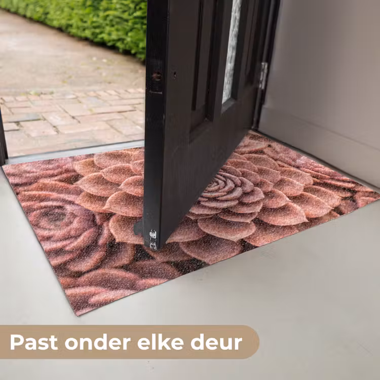 Vetplant - Organisch - Roze Deurmat klein -USP_NL