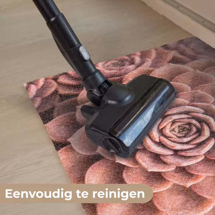 Vetplant - Organisch - Roze Deurmat klein -reinigen_NL