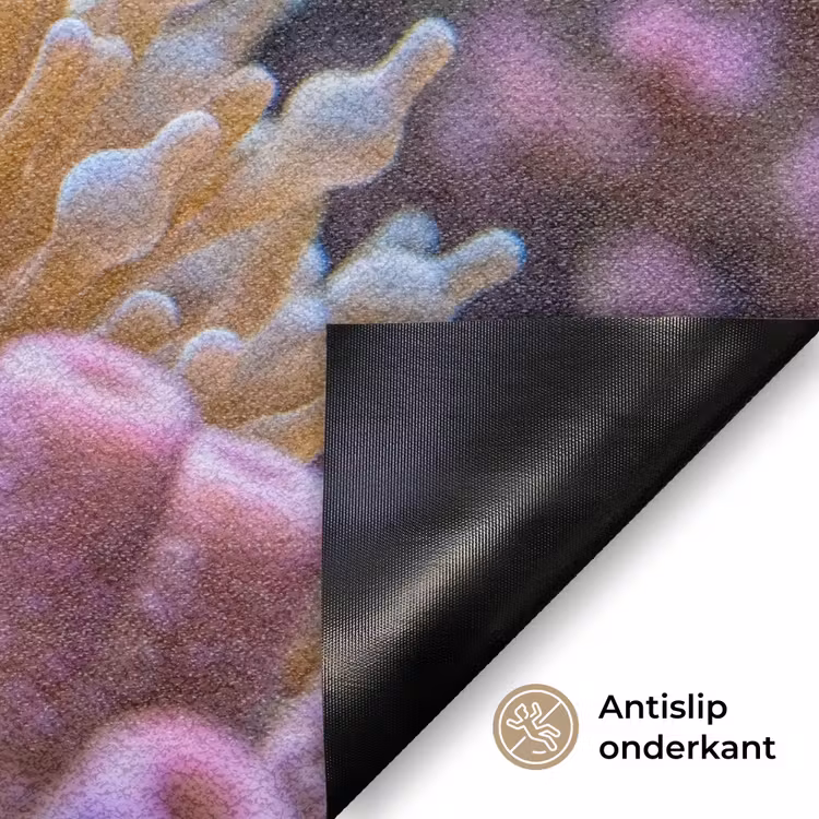Vis - Koraal - Onderwater - Oranje - Dieren Deurmat klein -antislip_NL