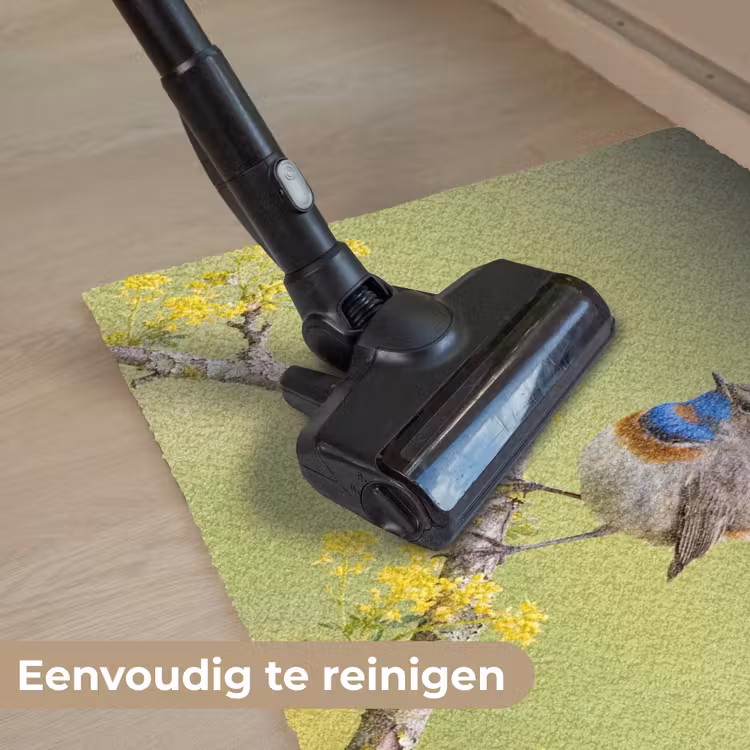 Vogel - Tak - Natuur - Kleurrijk Deurmat klein -reinigen_NL