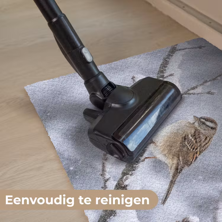 Vogel - Tak - Sneeuw - Winter Deurmat klein -reinigen_NL