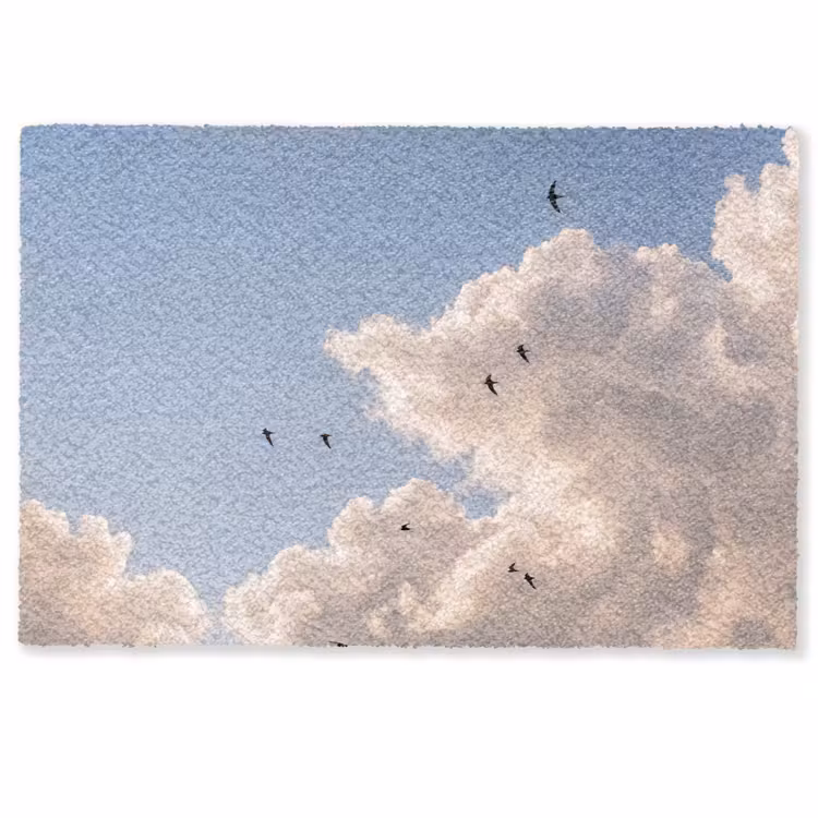 Vogel - Vlucht - Wolken - Natuur - Blauw Deurmat klein -zkaufland3d