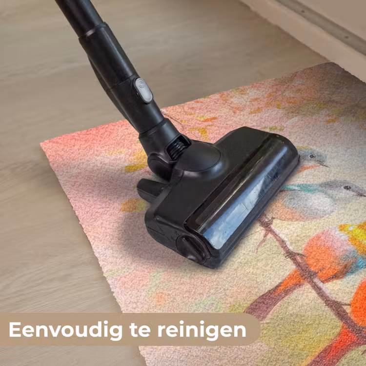 Vogels - Kleurrijk - Tak Deurmat klein -reinigen_NL