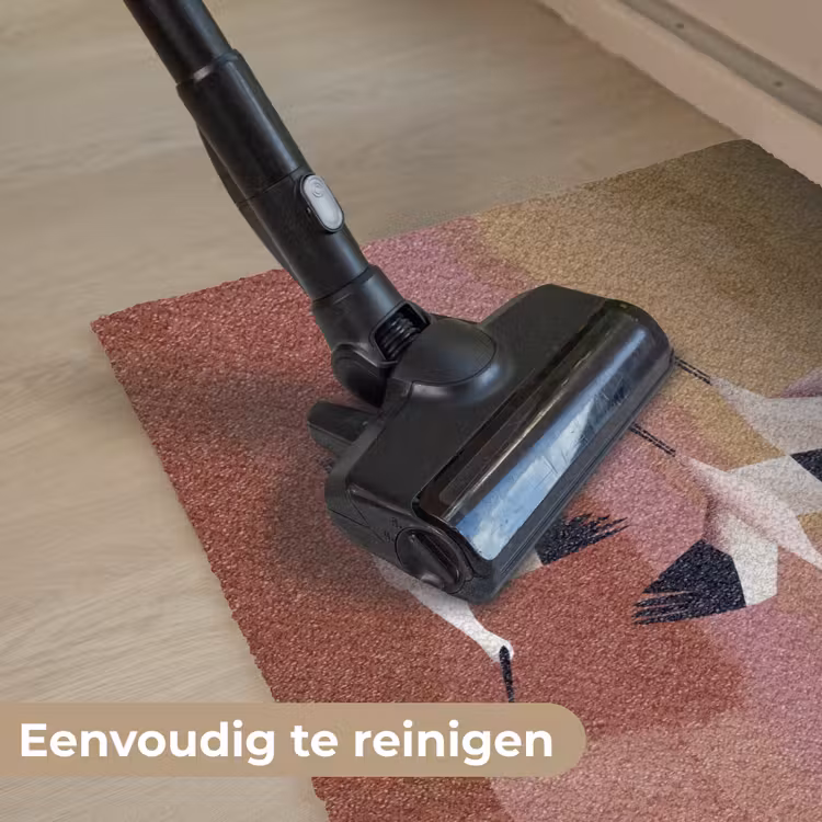 Vogels - Snavel - Abstract Deurmat klein -reinigen_NL