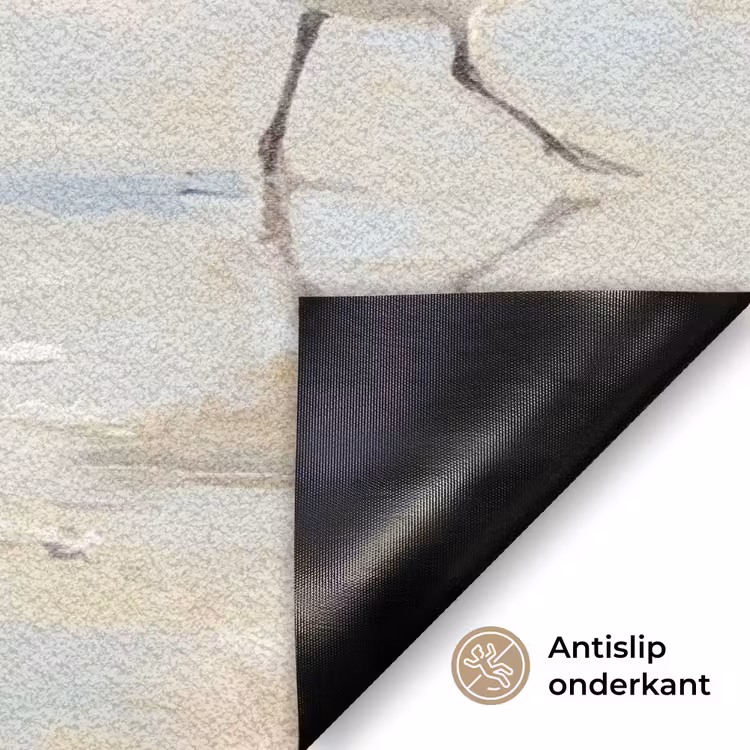 Vogels - Strand - Zee Deurmat klein -antislip_NL