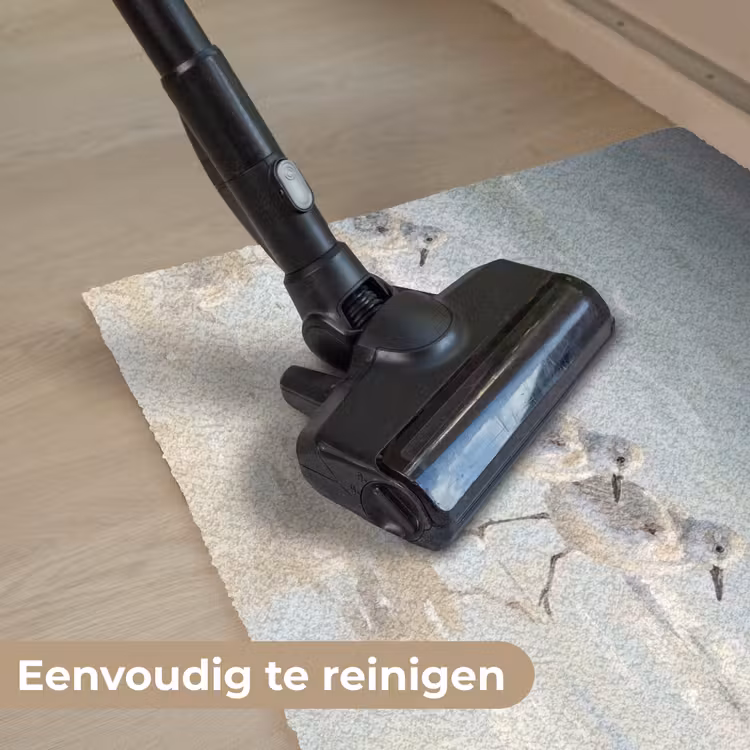 Vogels - Strand - Zee Deurmat klein -reinigen_NL